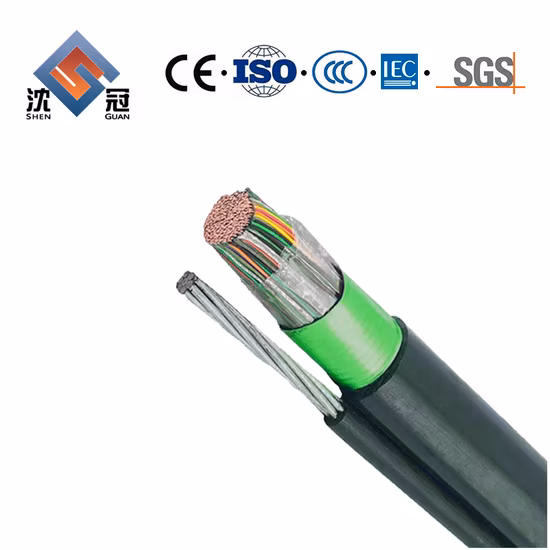 Câble métallique Shenguan isolation PVC fil de commande de Signal blindé électrique multicœur Nsgafou 3 Kv Shd